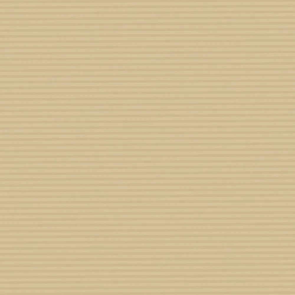 Canelado Kraft 1.webp