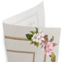 Papel Poli Cuadrado, Olga